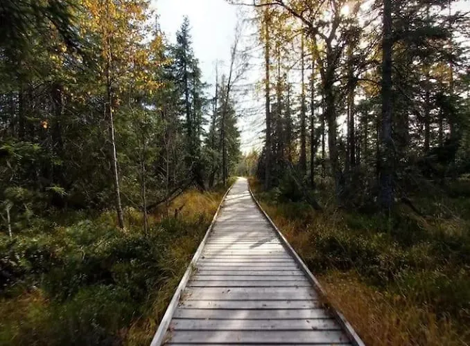 Daire Gemuetliches Am Kurhaus In *