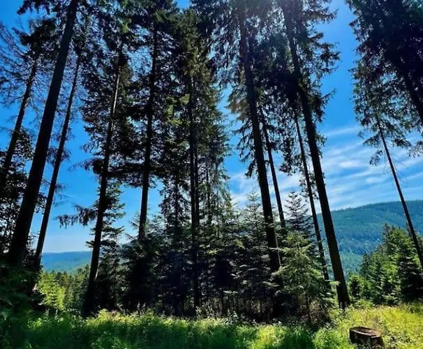 Gemuetliches Am Kurhaus In Daire Dobel