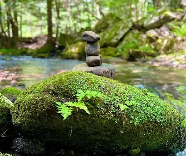 Gemuetliches Am Kurhaus In Daire Dobel