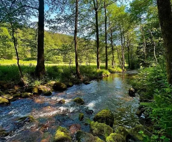 Daire Gemuetliches Am Kurhaus In *