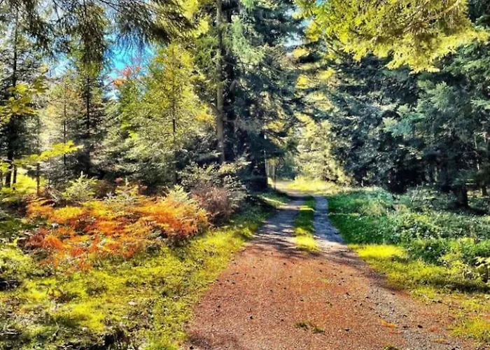 Gemuetliches Am Kurhaus In *